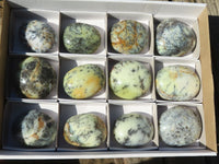 Polished Dendritic Opal Galet / Palm Stone x 12 from Madagascar - Toprock Gemstones and Minerals 