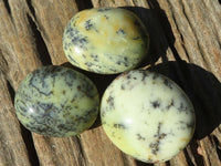 Polished Dendritic Opal Galet / Palm Stone x 12 from Madagascar - Toprock Gemstones and Minerals 