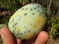 Polished Dendritic Opal Galet / Palm Stone x 12 from Madagascar - Toprock Gemstones and Minerals 