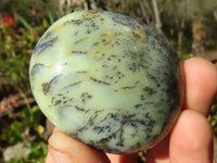 Polished Dendritic Opal Galet / Palm Stone x 12 from Madagascar - Toprock Gemstones and Minerals 