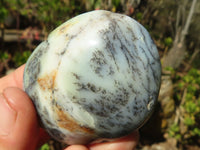 Polished Dendritic Opal Galet / Palm Stone x 12 from Madagascar - Toprock Gemstones and Minerals 