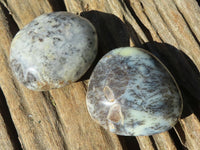 Polished Dendritic Opal Galet / Palm Stone x 12 from Madagascar - Toprock Gemstones and Minerals 