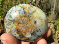 Polished Dendritic Opal Galet / Palm Stone x 12 from Madagascar - Toprock Gemstones and Minerals 