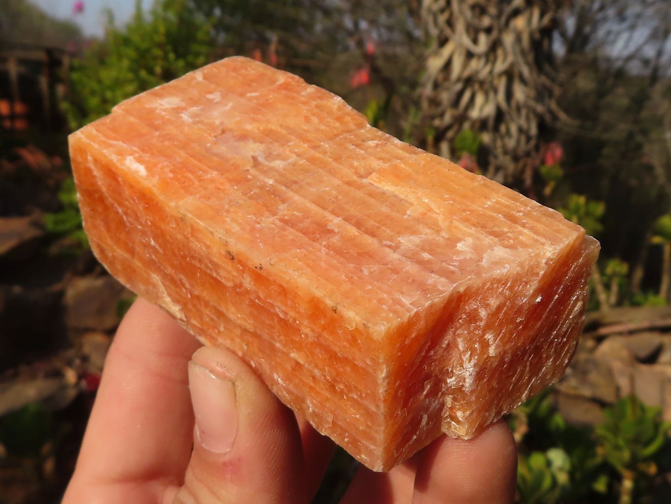 Natural New Sunset Orange Calcite Specimens  x 12 From Spitzkop, Namibia - Toprock Gemstones and Minerals 
