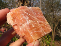 Natural New Sunset Orange Calcite Specimens  x 12 From Spitzkop, Namibia - Toprock Gemstones and Minerals 