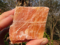 Natural New Sunset Orange Calcite Specimens  x 12 From Spitzkop, Namibia - Toprock Gemstones and Minerals 