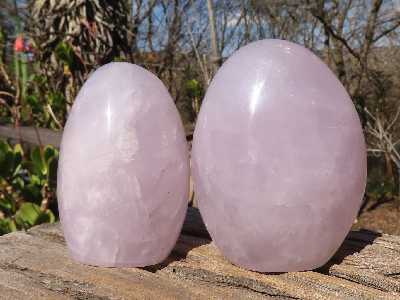 Polished Blue Rose Quartz Standing Free Forms x 2 From Madagascar - Toprock Gemstones and Minerals 