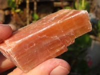Natural New Sunset Orange Calcite Specimens  x 12 From Spitzkop, Namibia - Toprock Gemstones and Minerals 