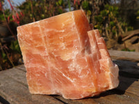 Natural New Sunset Orange Calcite Specimens  x 12 From Spitzkop, Namibia - Toprock Gemstones and Minerals 