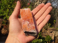 Natural New Sunset Orange Calcite Specimens  x 12 From Spitzkop, Namibia - Toprock Gemstones and Minerals 