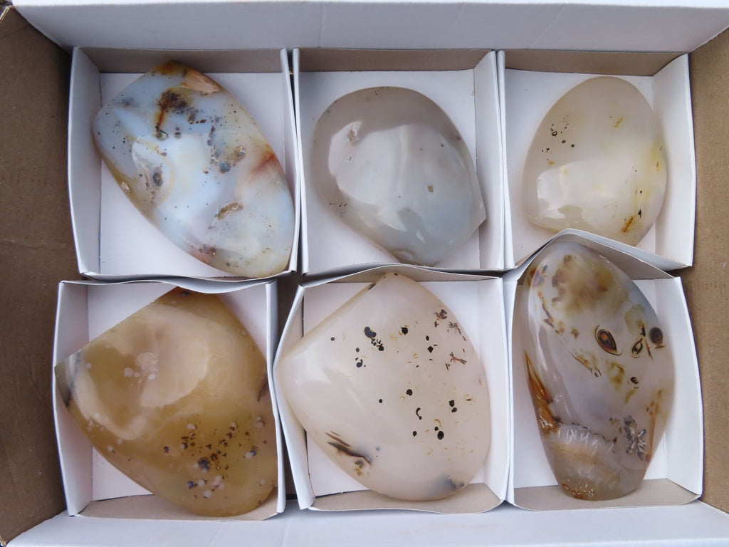 Polished Dendritic Agate Standing Free Forms  x 6 From Madagascar - Toprock Gemstones and Minerals 