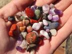 Polished Mini Craft Mixed Tumble Stones - Sold per 500 g - From Southern Africa - Toprock Gemstones and Minerals 