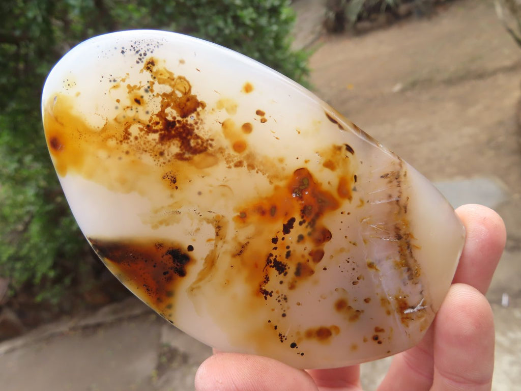 Polished Dendritic Agate Standing Free Forms  x 6 From Madagascar - Toprock Gemstones and Minerals 
