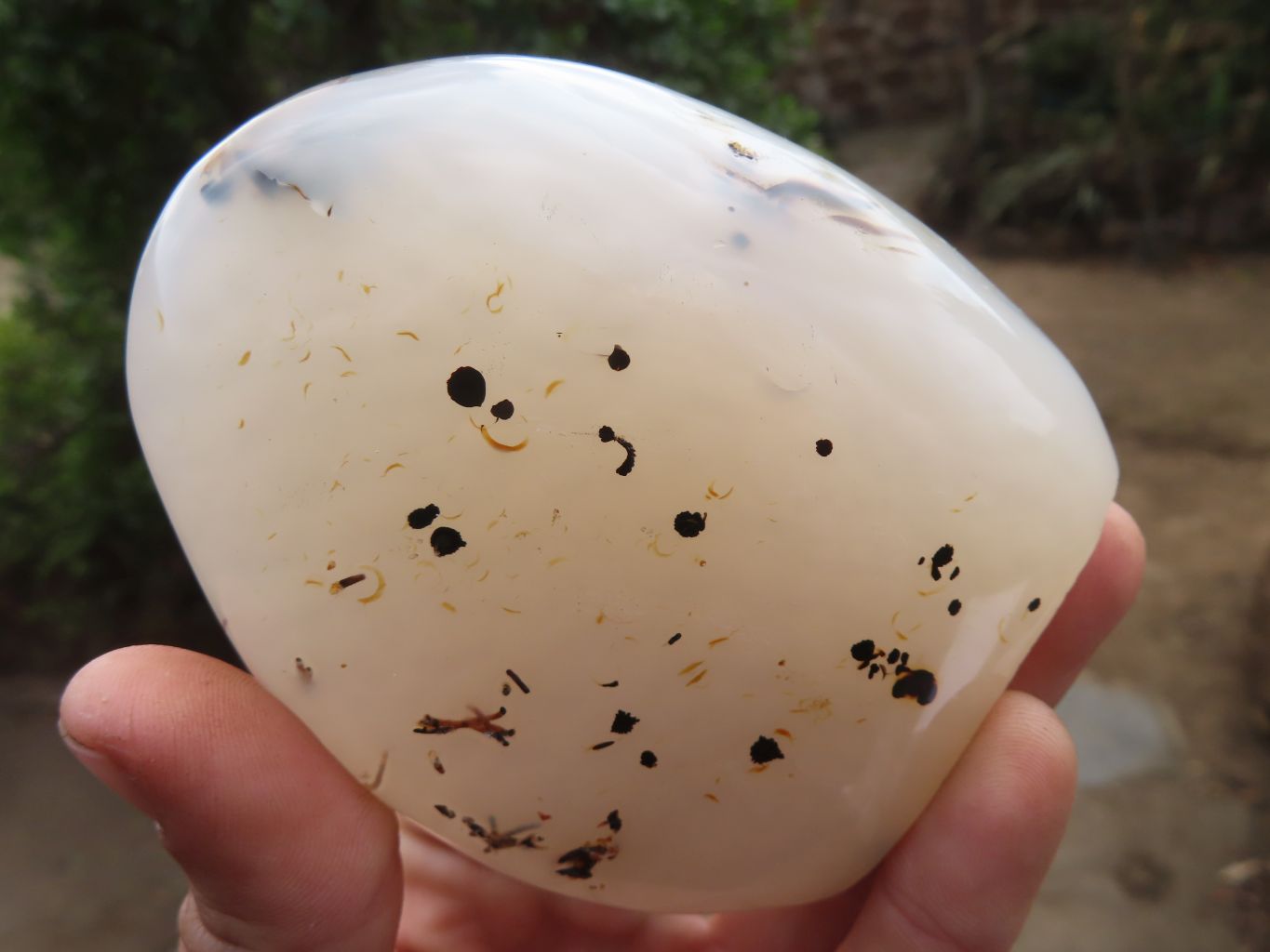 Polished Dendritic Agate Standing Free Forms  x 6 From Madagascar - Toprock Gemstones and Minerals 