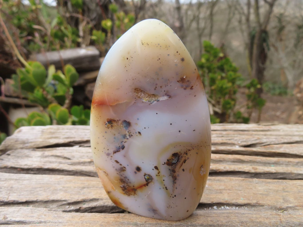 Polished Dendritic Agate Standing Free Forms  x 6 From Madagascar - Toprock Gemstones and Minerals 