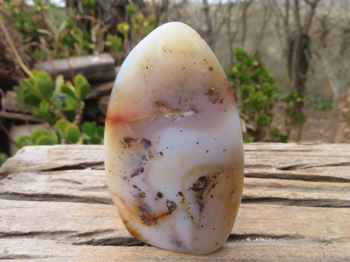 Polished Dendritic Agate Standing Free Forms  x 6 From Madagascar - Toprock Gemstones and Minerals 