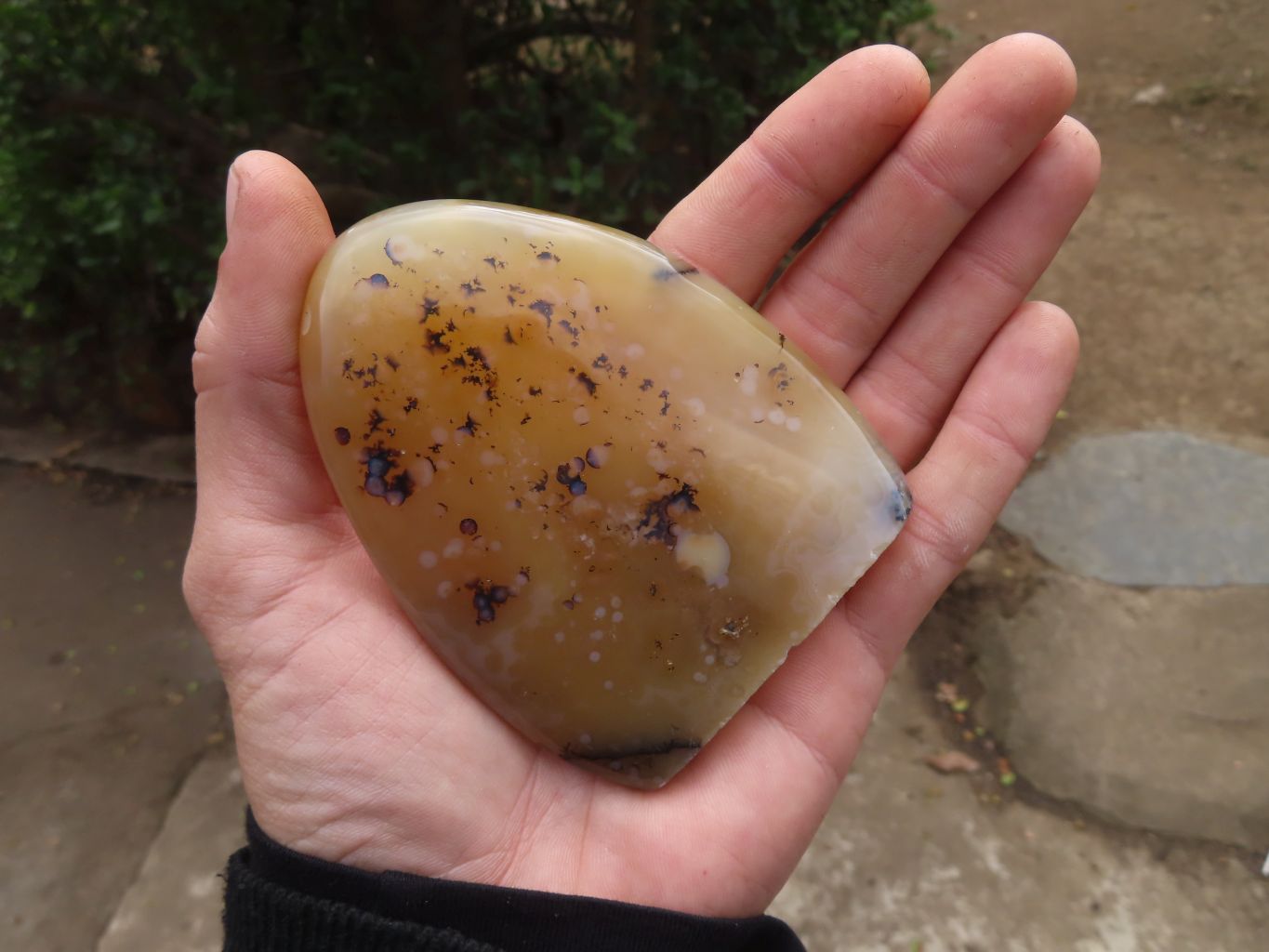 Polished Dendritic Agate Standing Free Forms  x 6 From Madagascar - Toprock Gemstones and Minerals 