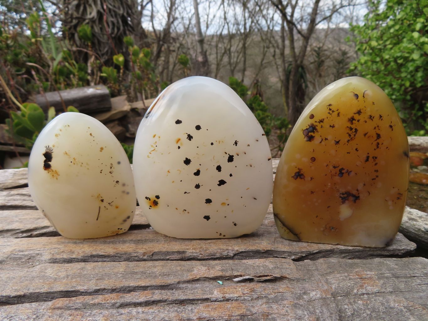 Polished Dendritic Agate Standing Free Forms  x 6 From Madagascar - Toprock Gemstones and Minerals 