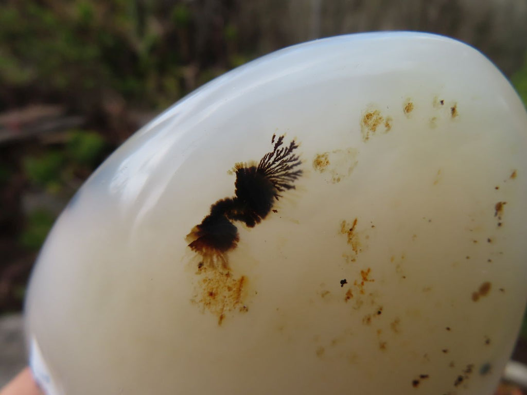 Polished Dendritic Agate Standing Free Forms  x 6 From Madagascar - Toprock Gemstones and Minerals 