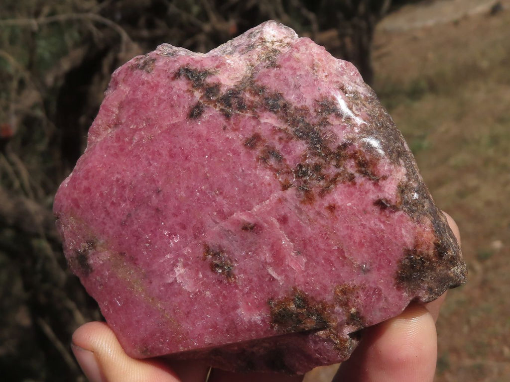Polished One Sided Rhodonite & Chromite Free Forms  x 5 From Ambindavato, Madagascar - TopRock