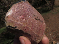 Polished One Sided Rhodonite & Chromite Free Forms  x 5 From Ambindavato, Madagascar - TopRock