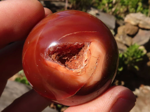 Polished Carnelian Agate Spheres  x 6 From Madagascar - Toprock Gemstones and Minerals 