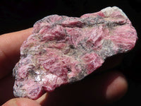 Natural Rough Rhodonite Cobbed Specimens  x 17 From Zimbabwe - TopRock