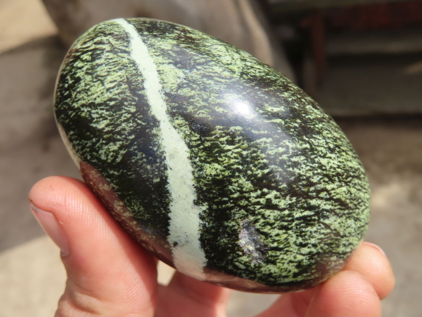 Polished Leopard stone Gallets  x 12 From Inyanga, Zimbabwe - Toprock Gemstones and Minerals 