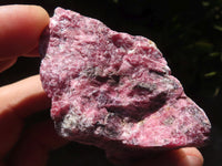 Natural Rough Rhodonite Cobbed Specimens  x 17 From Zimbabwe - TopRock