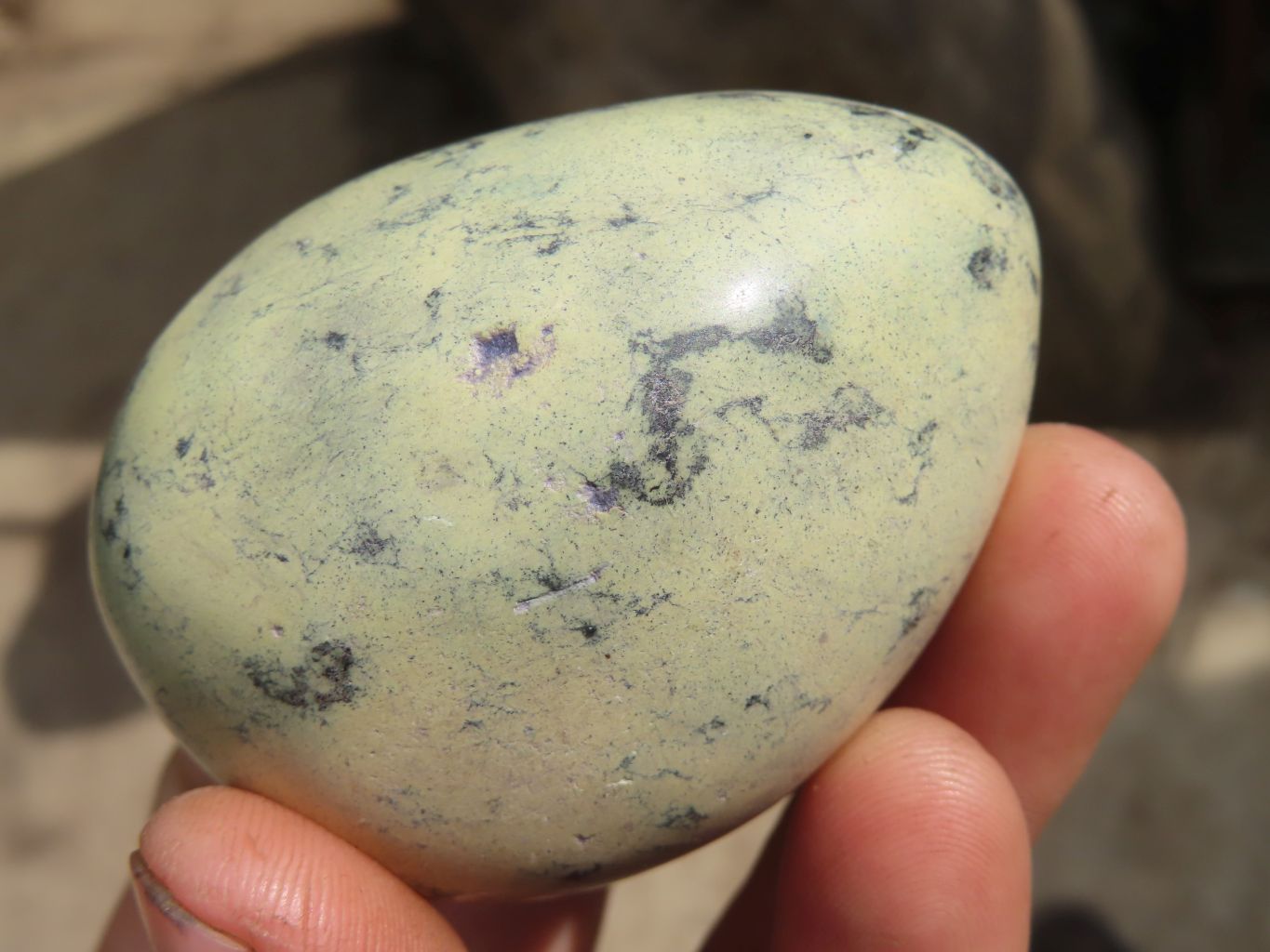 Polished Leopard stone Gallets  x 12 From Inyanga, Zimbabwe - Toprock Gemstones and Minerals 