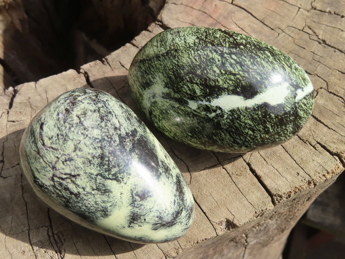Polished Leopard stone Gallets  x 12 From Inyanga, Zimbabwe - Toprock Gemstones and Minerals 
