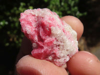 Natural Rough Rhodonite Cobbed Specimens  x 17 From Zimbabwe - TopRock