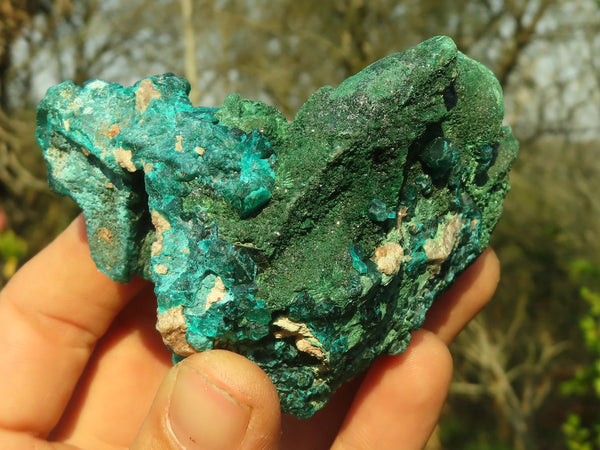 Natural Classic Emerald Dioptase Crystal Specimens x 2 From Likasi, Congo