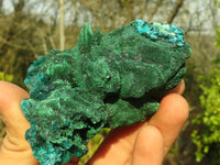 Natural Classic Emerald Dioptase Crystal Specimens x 2 From Likasi, Congo