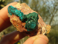 Natural Classic Emerald Dioptase Crystal Specimens x 2 From Likasi, Congo
