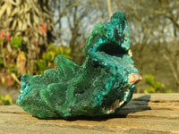 Natural Classic Emerald Dioptase Crystal Specimens x 2 From Likasi, Congo