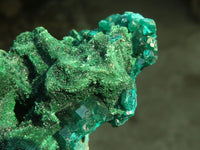 Natural Classic Emerald Dioptase Crystal Specimens x 2 From Likasi, Congo