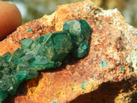 Natural Classic Emerald Dioptase Crystal Specimens x 2 From Likasi, Congo