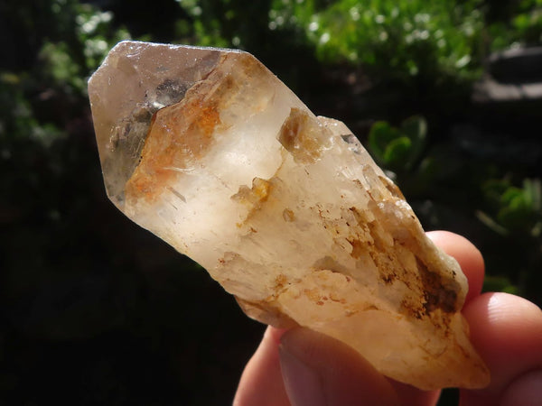 Polished Single Smokey Quartz Crystals  x 1.9 Kg Lot From Zimbabwe - TopRock