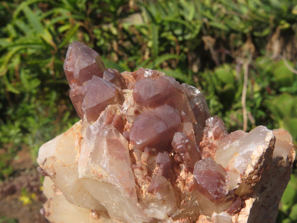 Natural Hematoid Quartz Crystals  x 3 From Zimbabwe - TopRock