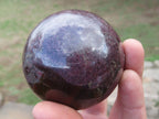 Polished Red Garnet Spheres x 2 From Madagascar - TopRock