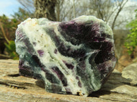 Polished Watermelon Fluorite Standing Slabs  x 6 From Uis, Namibia