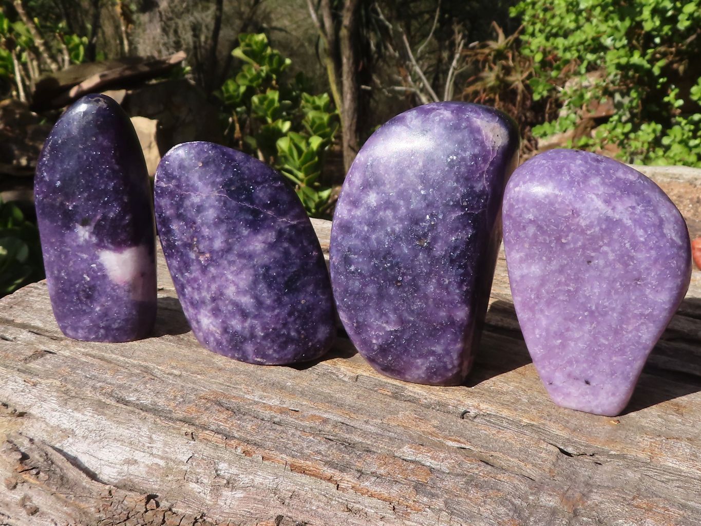 Polished Purple Lepidolite Standing Free Forms  x 4 From Zimbabwe - Toprock Gemstones and Minerals 