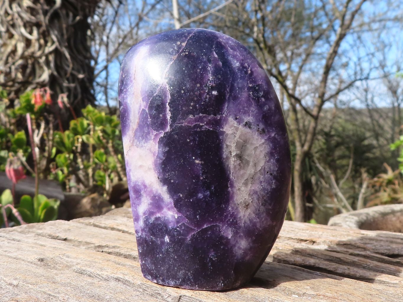 Polished Purple Lepidolite Standing Free Forms  x 4 From Zimbabwe - Toprock Gemstones and Minerals 