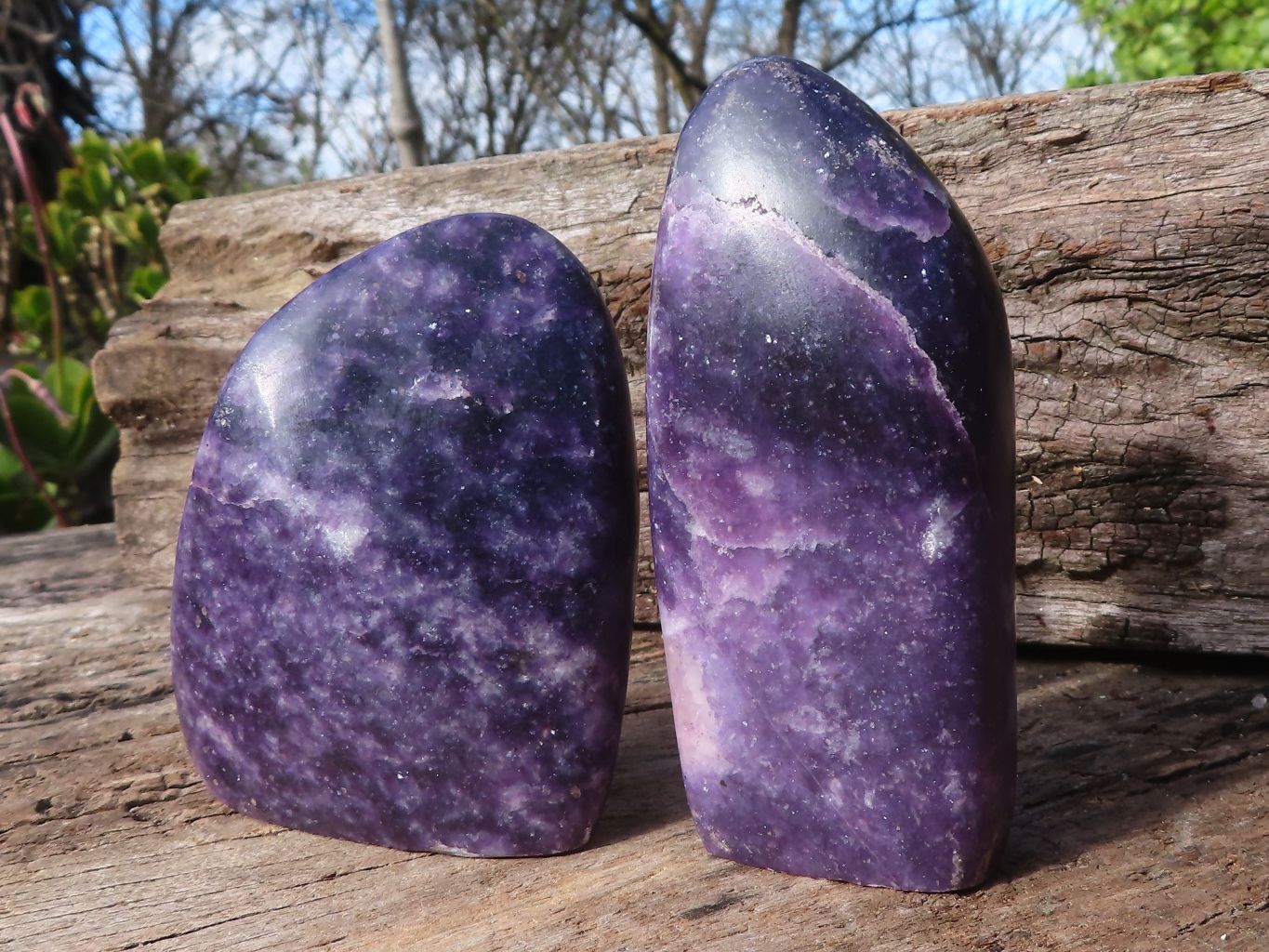 Polished Purple Lepidolite Standing Free Forms  x 4 From Zimbabwe - Toprock Gemstones and Minerals 