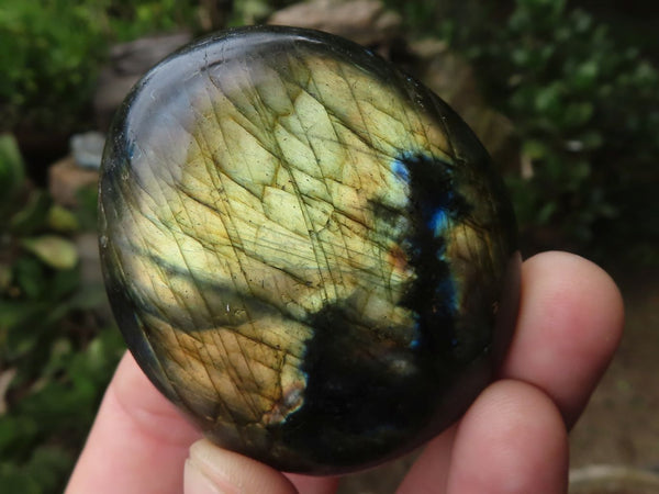 Polished Flashy Labradorite Palm Stones  x 12 From Tulear, Madagascar - TopRock