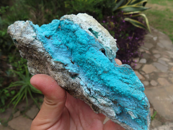 Natural Bright Blue Botryoidal Chrysocolla Specimens x 2 From Lupoto, Congo - TopRock