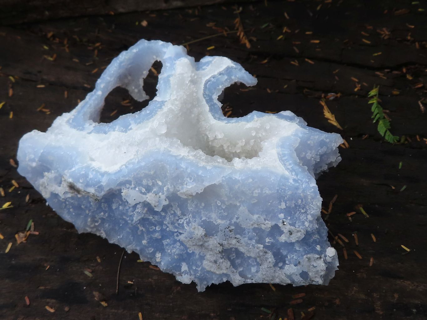 Natural Etched Blue Chalcedony Specimens  x 12 From Malawi - TopRock