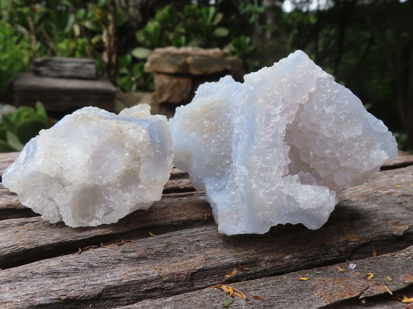 Natural Etched Blue Chalcedony Specimens  x 12 From Malawi - TopRock