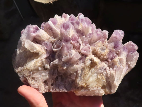 Natural Large Sugar Amethyst Cluster  x 1 From Zambia - Toprock Gemstones and Minerals 
